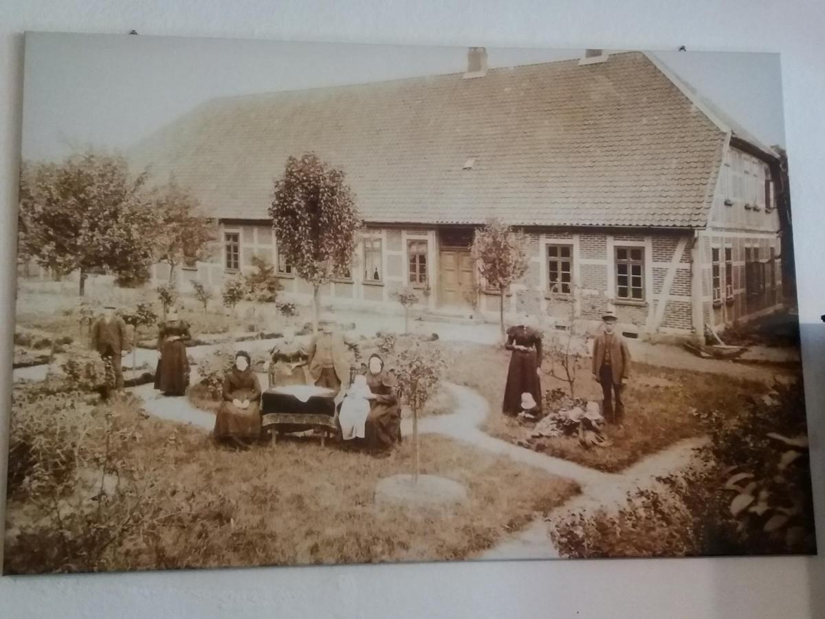 Appartement Hof Dushop à Bad Fallingbostel Extérieur photo